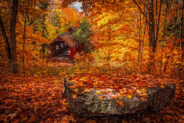 秋を感じさせる景色の写真